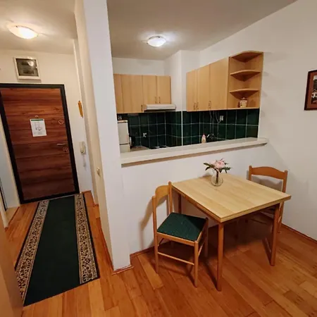 Apartment Stan Na Dan Bulevar